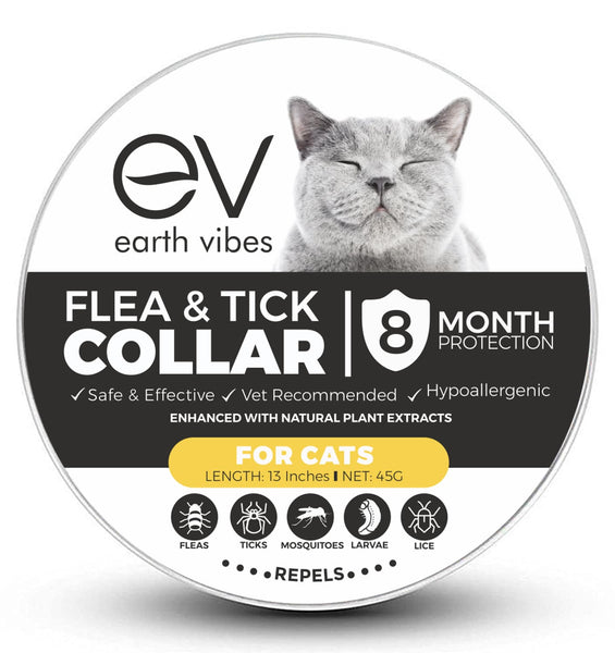 Earth Vibes 200mL Essential Oil Diffuser